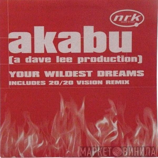 Akabu - Your Wildest Dreams