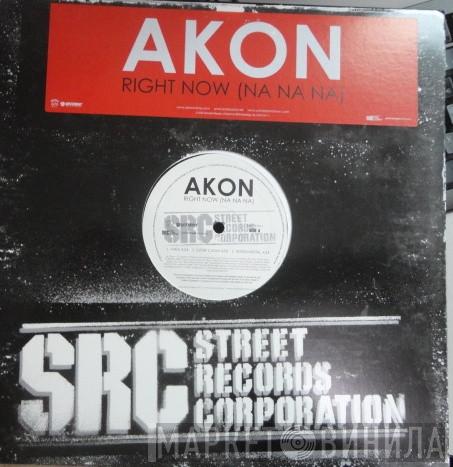  Akon  - Right Now (Na Na Na)