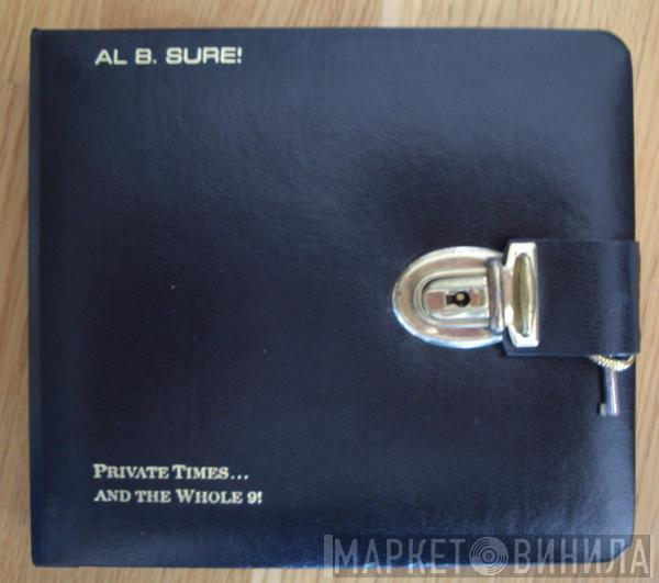  Al B. Sure!  - Private Times... And The Whole 9!
