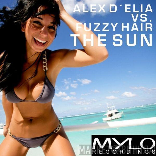 Alex D'Elia, Fuzzy Hair - The Sun