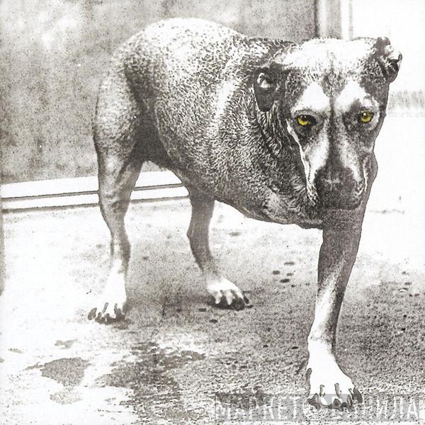  Alice In Chains  - Alice In Chains