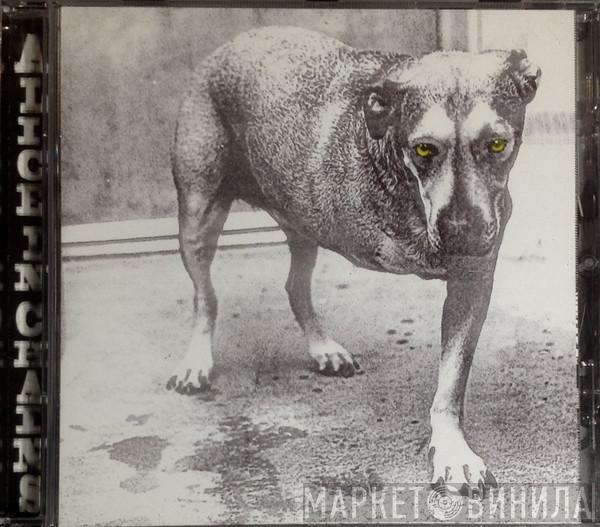  Alice In Chains  - Alice In Chains