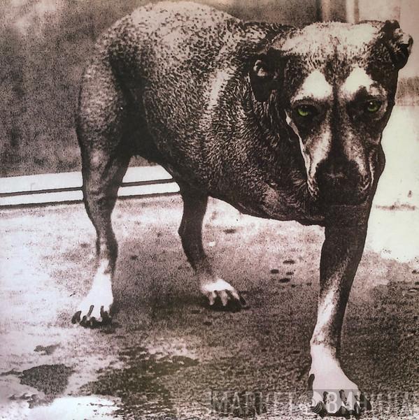  Alice In Chains  - Alice In Chains
