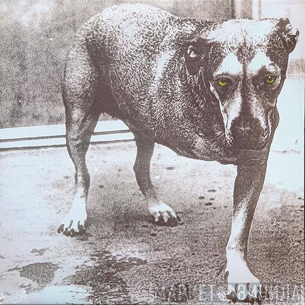  Alice In Chains  - Alice In Chains