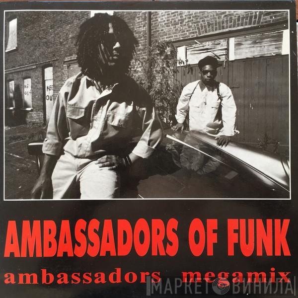 Ambassadors Of Funk - Another Side Of You