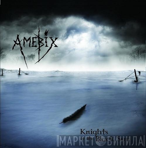  Amebix  - Knights Of The Black Sun