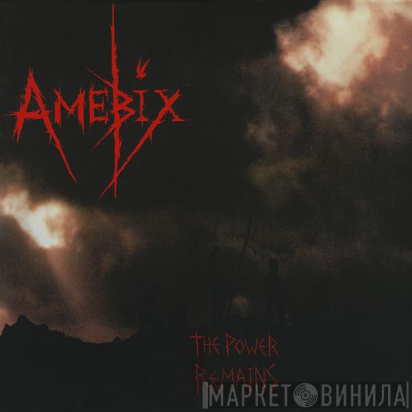  Amebix  - The Power Remains