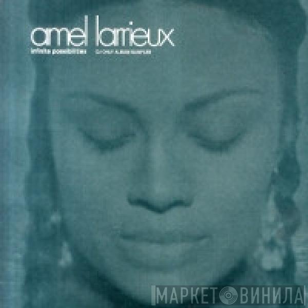 Amel Larrieux - Infinite Possibilities