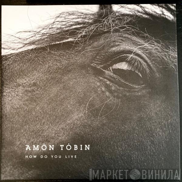 Amon Tobin - How Do You Live