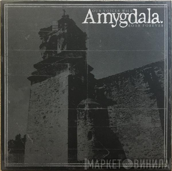 Amygdala  - Our Voices Will Soar Forever