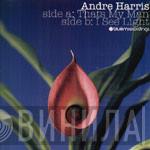 Andre Harris - That's My Man / I See Light