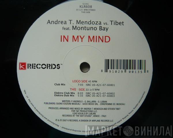 Andrea T. Mendoza vs. Tibet, Montuno Bay - In My Mind