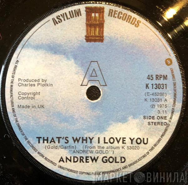 Andrew Gold - That's Why I Love You