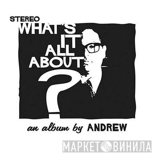 Andrew Sandoval - What's It All About