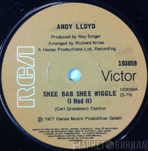 Andy Lloyd - Shee Bab Shee Wiggle (I Had It)