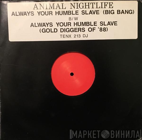 Animal Nightlife - Always Your Humble Slave