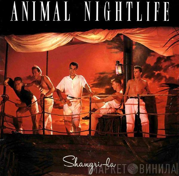 Animal Nightlife - Shangri-La