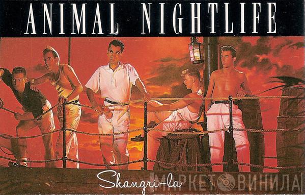 Animal Nightlife - Shangri-La