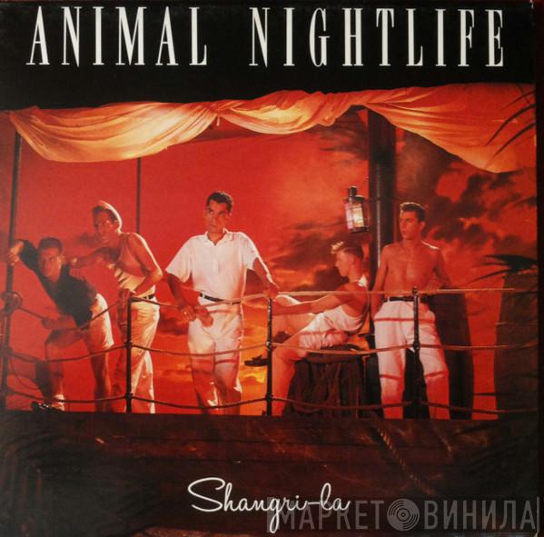 Animal Nightlife - Shangri-La