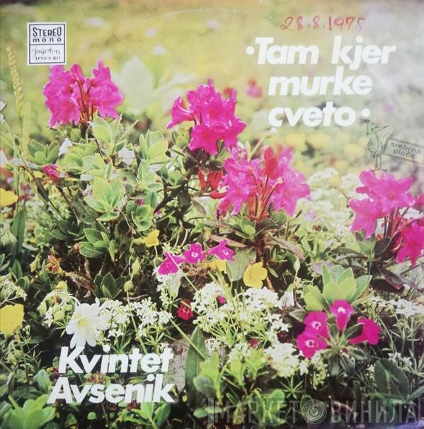 Ansambel Bratov Avsenik - Tam Kjer Murke Cveto