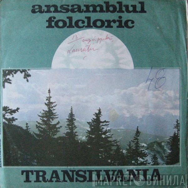 Ansamblul folcloric Transilvania din Tîrgu-Mureș - Ansamblul Folcloric Transilvania