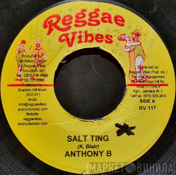 Anthony B, Lukie D - Salt Ting / Too Shy