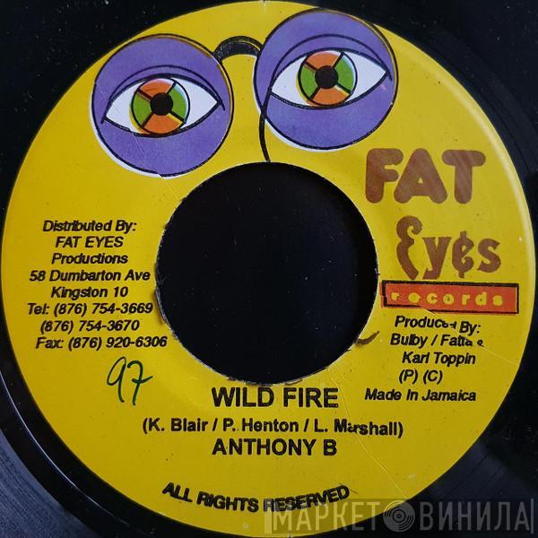 Anthony B, Ninja Ford - Wild Fire / Never See Mi Done