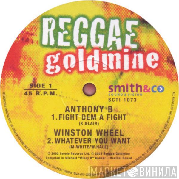 Anthony B, Winston Wheel, Derrick Lara - Fight Dem A Fight / Whatever You Want / Live In Love / Bad Vibes