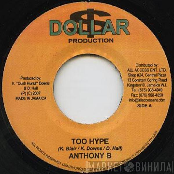 Anthony B, Zareb - Too Hype / Vanity Lovers