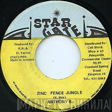 Anthony B - Zinc Fence Jungle