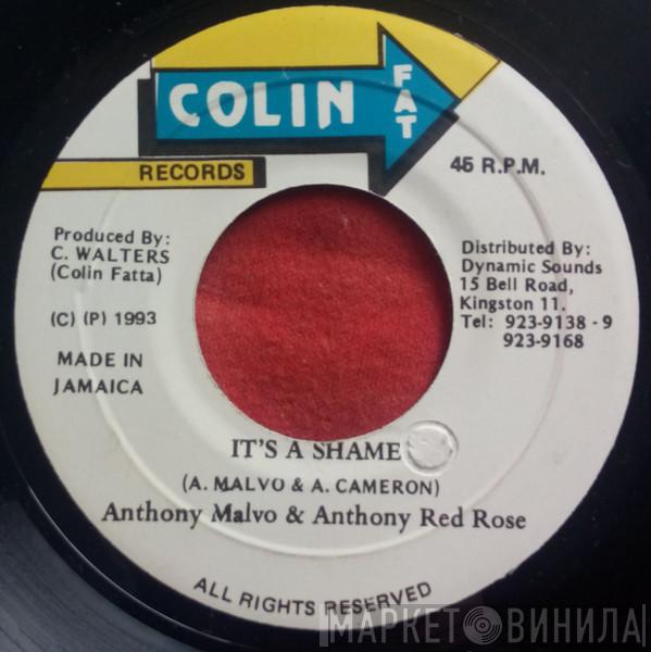 Anthony Malvo, Anthony Red Rose - It's A Shame