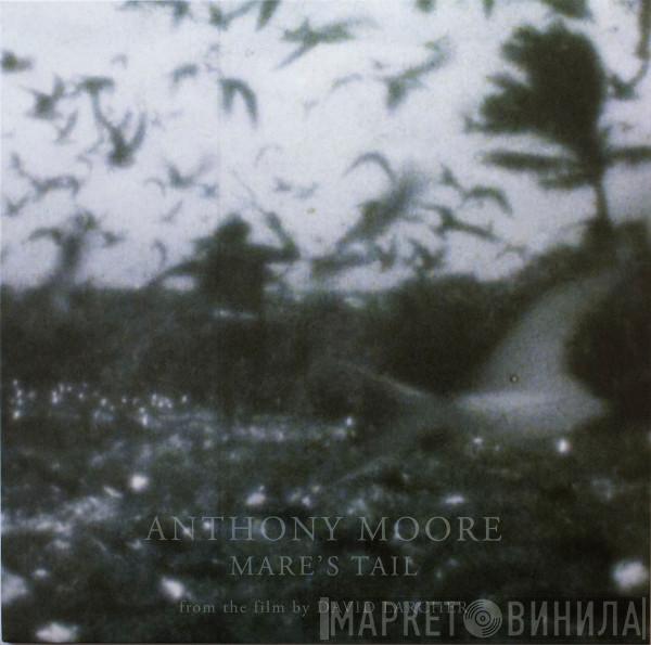 Anthony Moore - Mare's Tail