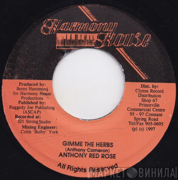  Anthony Red Rose  - Gimme The Herbs