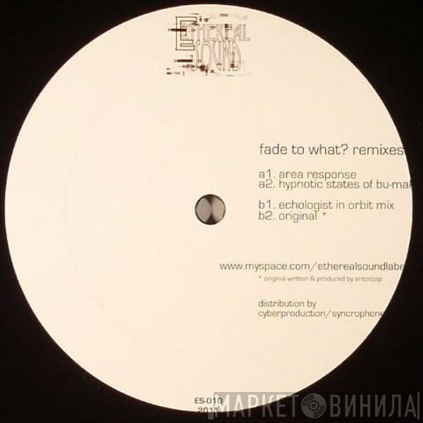 Anton Zap - Fade To What? (Remixes)