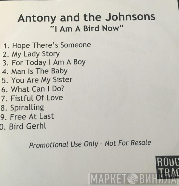  Antony And The Johnsons  - I Am A Bird Now