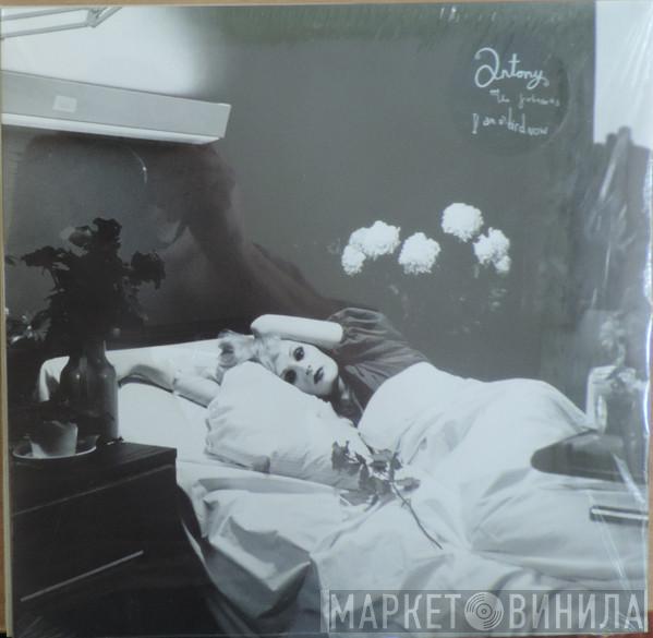 Antony And The Johnsons - I Am A Bird Now