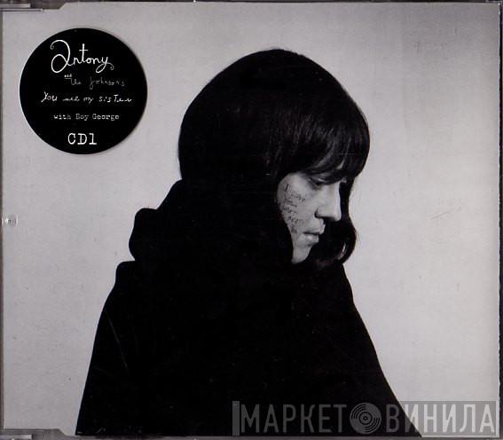 Antony And The Johnsons - You Are My Sister