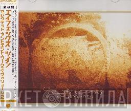  Aphex Twin  - Selected Ambient Works Volume II