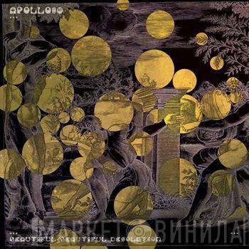 Apollo80 - Beautiful Beautiful Desolation