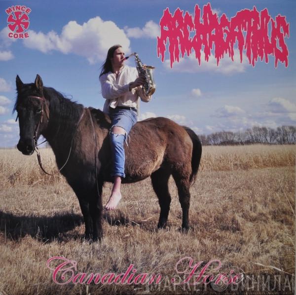  Archagathus  - Canadian Horse