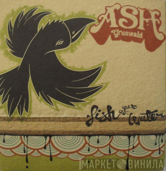 Ash Grunwald - Fish Out Of Water