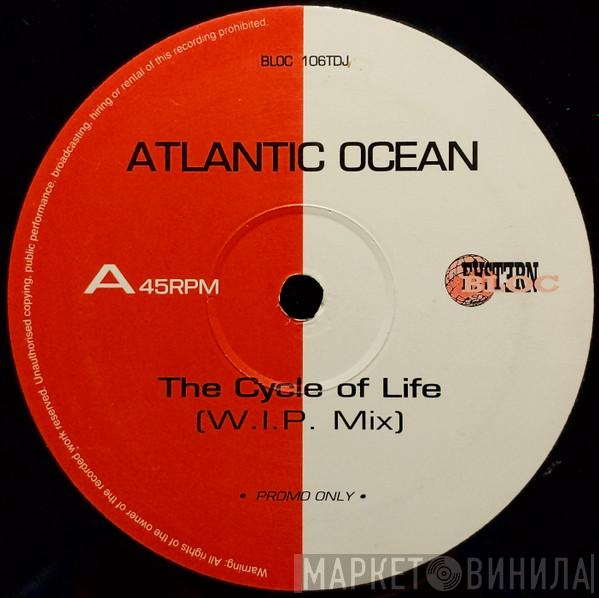 Atlantic Ocean - The Cycle Of Life