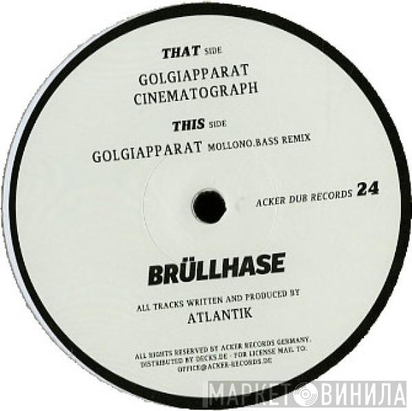 Atlantik  - Brüllhase