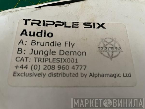 Audio - Brundle Fly / Jungle Demon