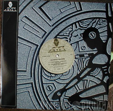 Audio Maze - Forbidden Agenda