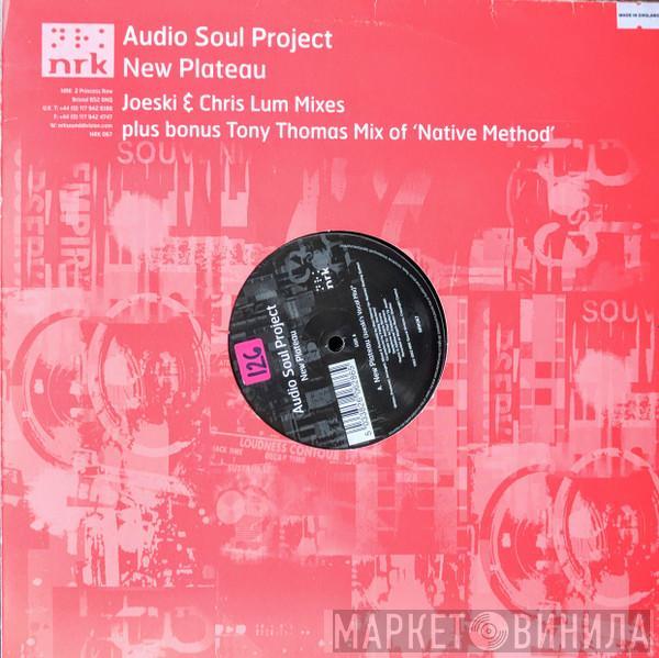 Audio Soul Project - New Plateau