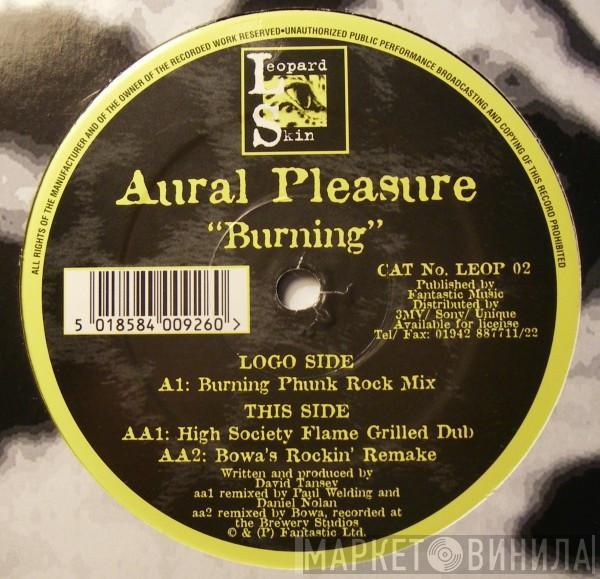 Aural Pleasure - Burning