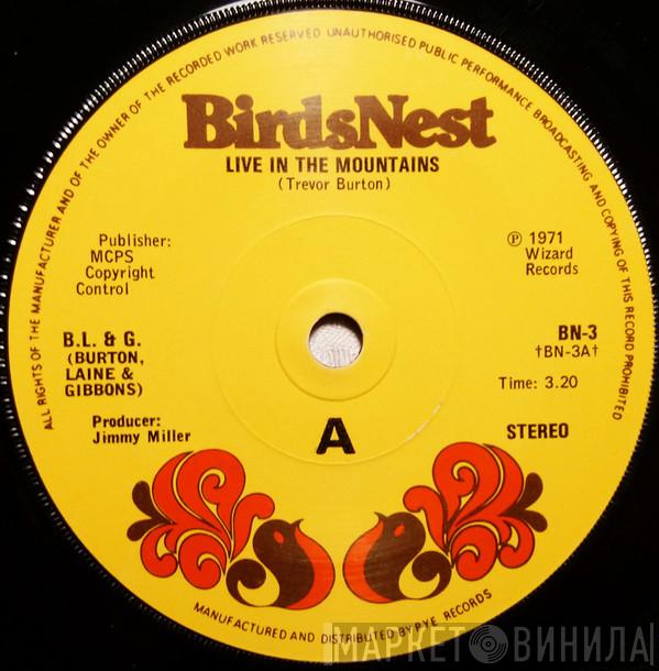 B.L. & G. (Burton, Laine & Gibbons) - Live In The Mountains