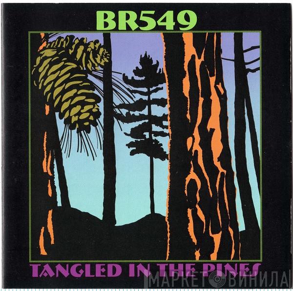 BR549 - Tangled In The Pines