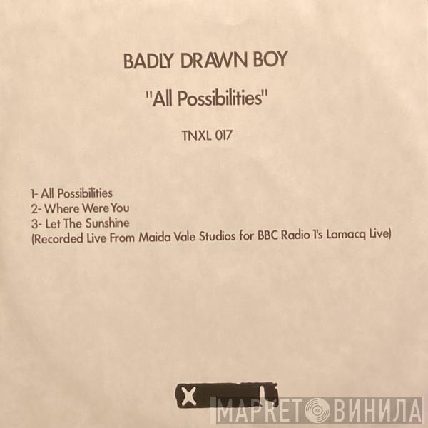  Badly Drawn Boy  - All Possibilities